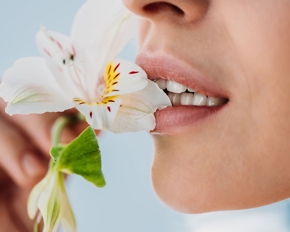 3 of the Best Holistic Dental Tips